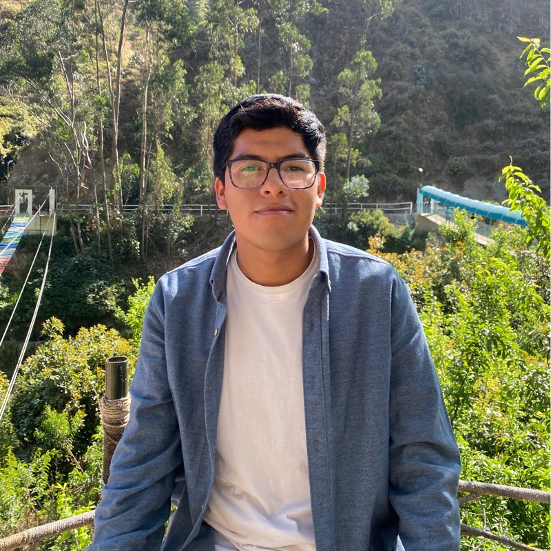 Mijael Raul Aliaga Ricaldi